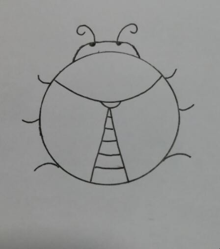 昆虫简笔画怎么画