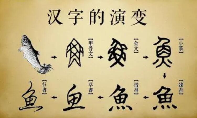 汉字的演变作文怎么写