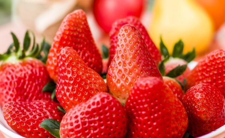 丹东草莓和红颜草莓的区别是什么
